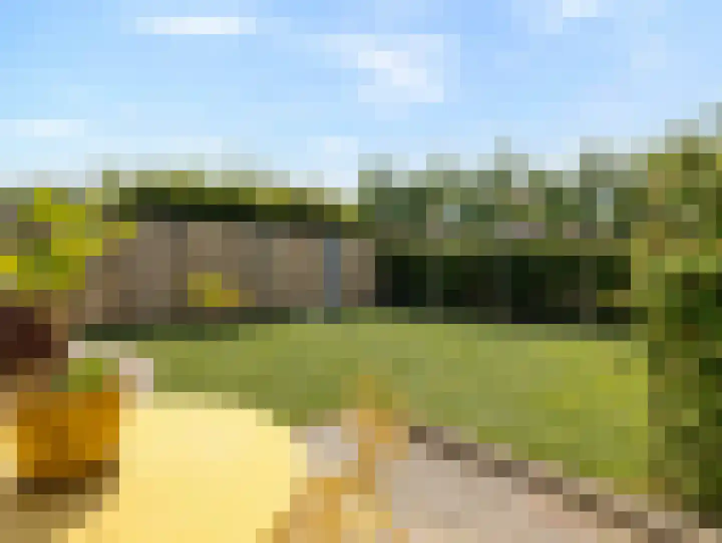 Stammershoefstraat 76 Vianen thumbnail 46
