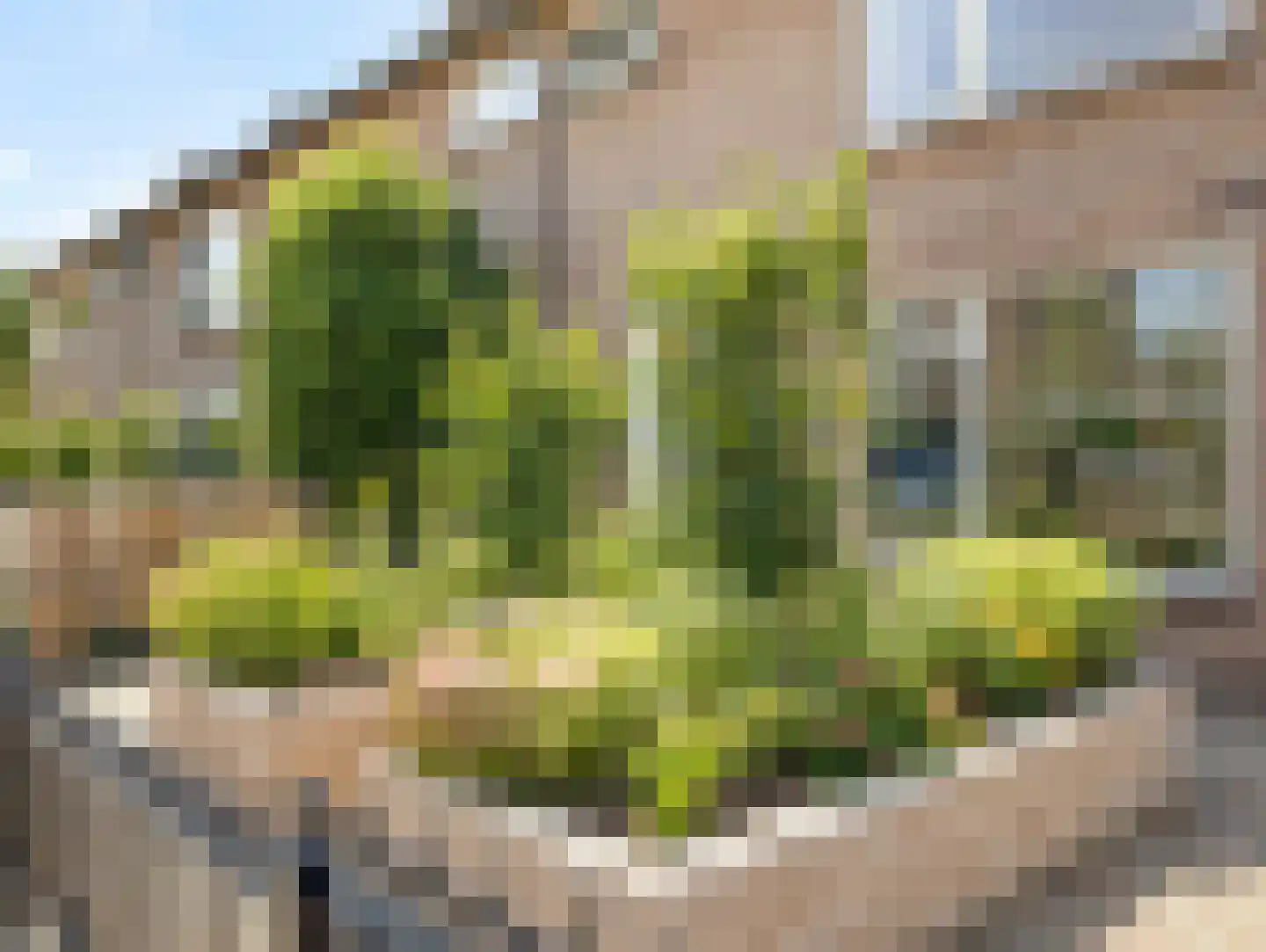 Stammershoefstraat 76 Vianen thumbnail 8