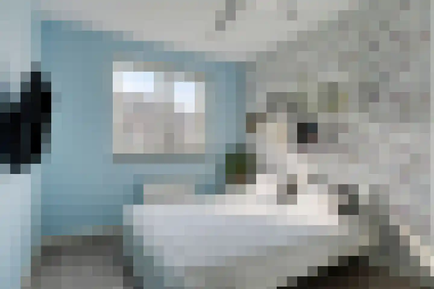 Stamperij 9 Waalre thumbnail 28