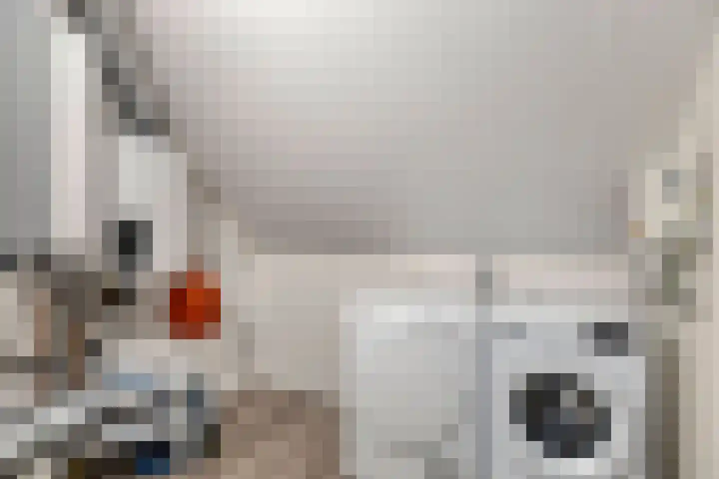 Stamperij 9 Waalre thumbnail 32