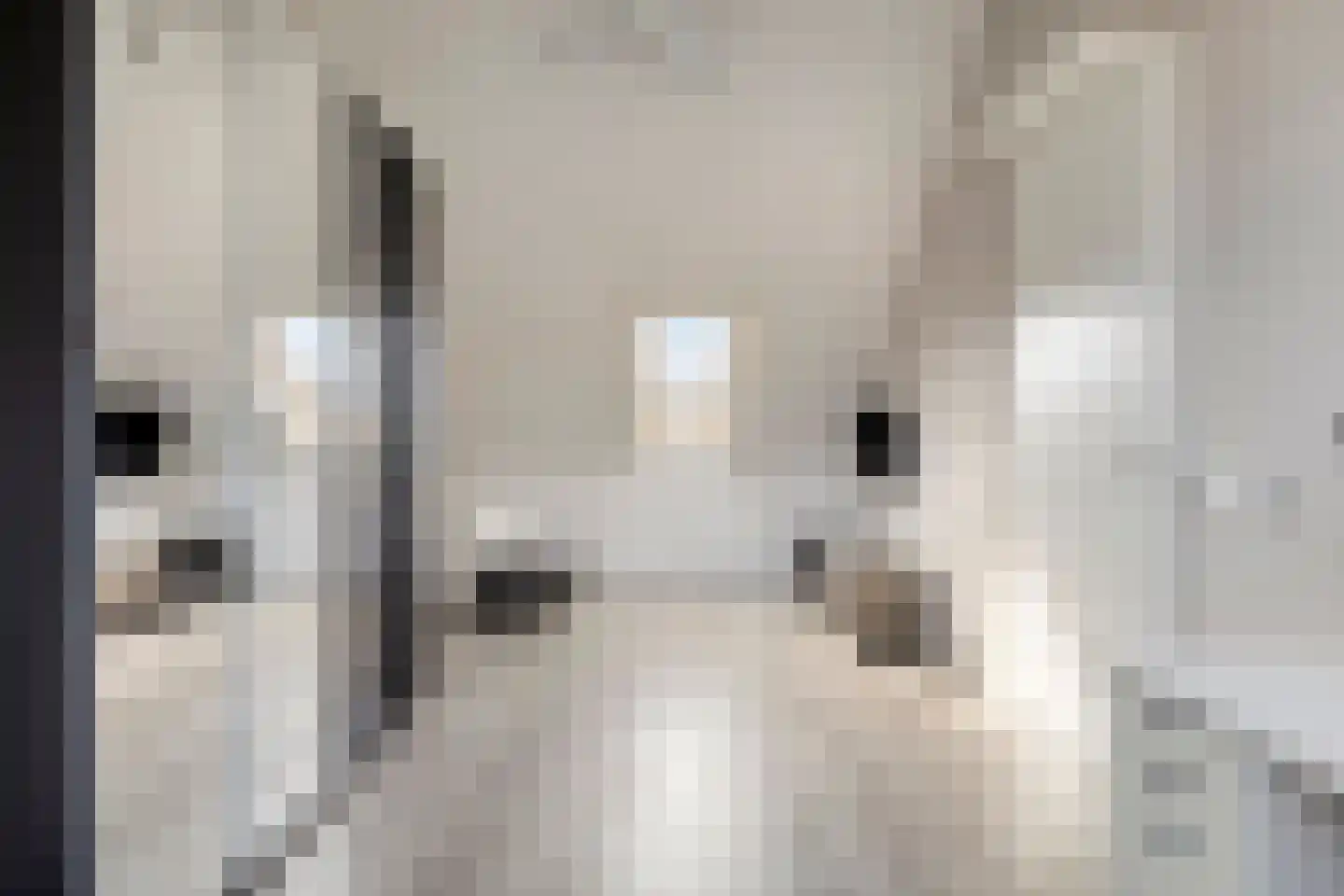 Stamperij 9 Waalre thumbnail 33