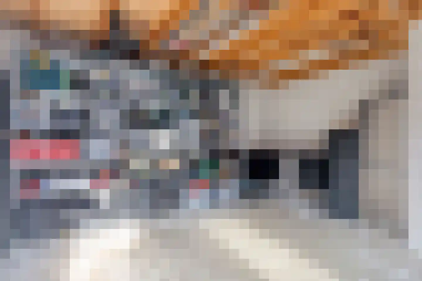 Stamperij 9 Waalre thumbnail 39