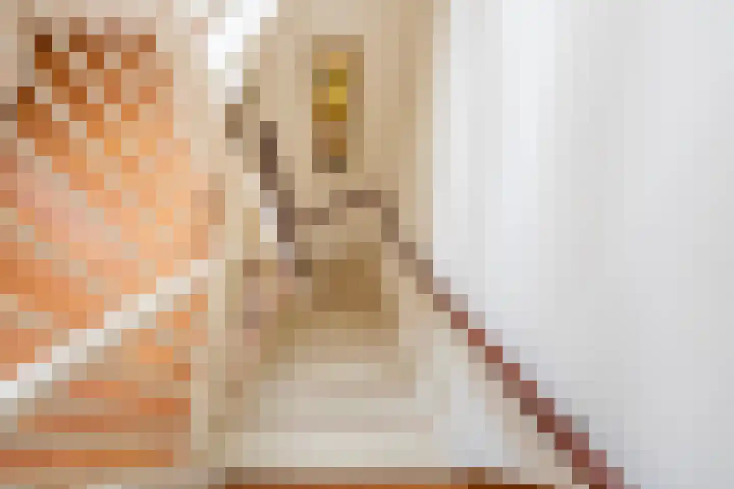 Stamperijstraat 33 Gaanderen thumbnail 20