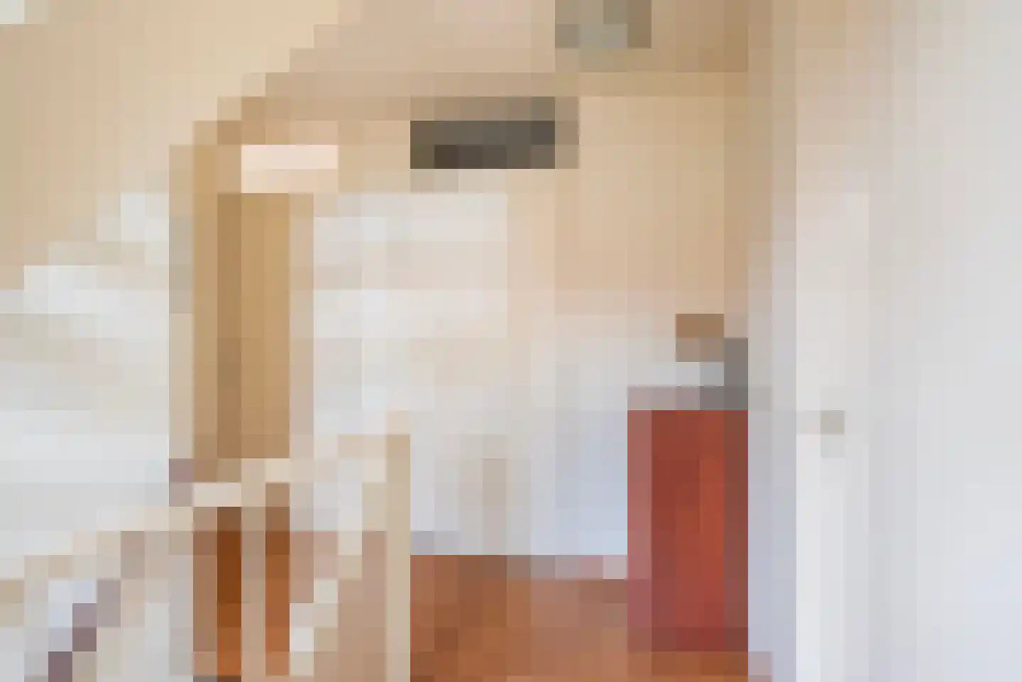 Stamperijstraat 33 Gaanderen thumbnail 22