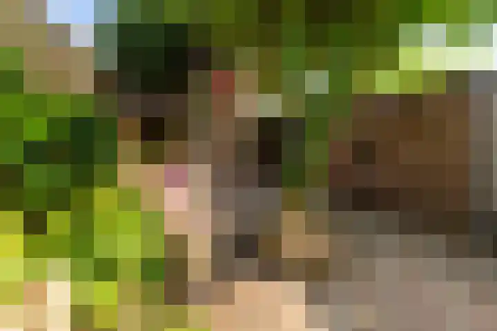 Stampstraat 113 Simpelveld thumbnail 19