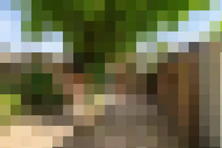 Stampstraat 113 Simpelveld thumbnail 20