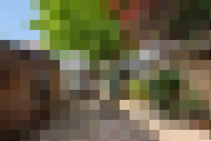 Stampstraat 113 Simpelveld thumbnail 22