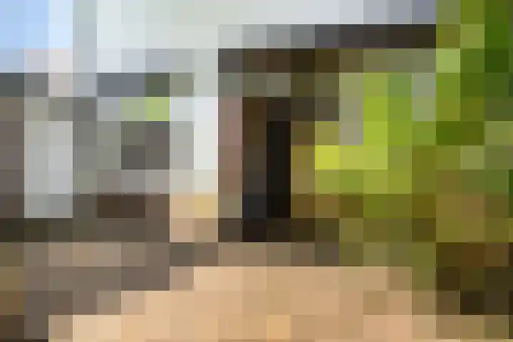 Stampstraat 113 Simpelveld thumbnail 23