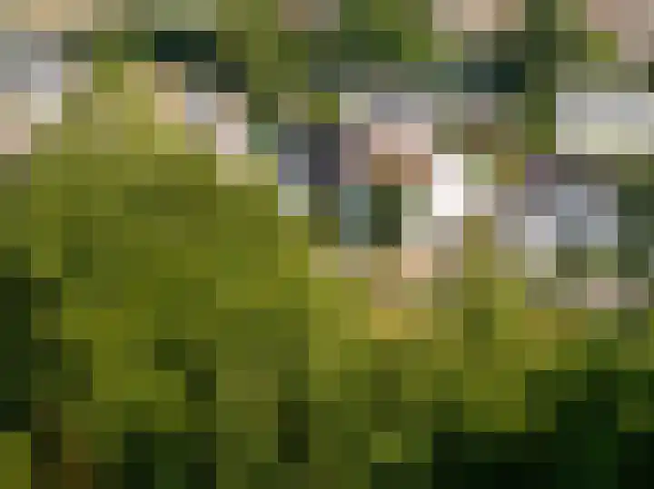 Stampstraat 113 Simpelveld thumbnail 27