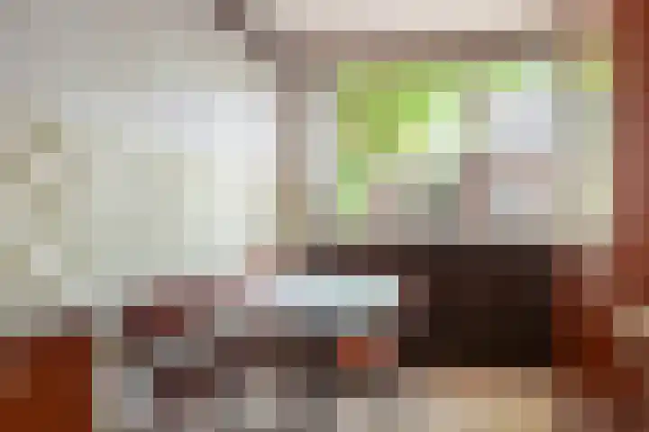 Stampstraat 113 Simpelveld thumbnail 9