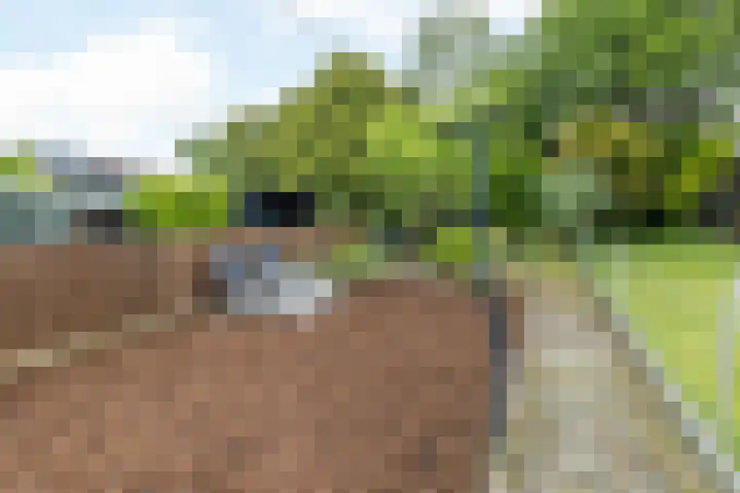 Stampstraat 57 Simpelveld thumbnail 31
