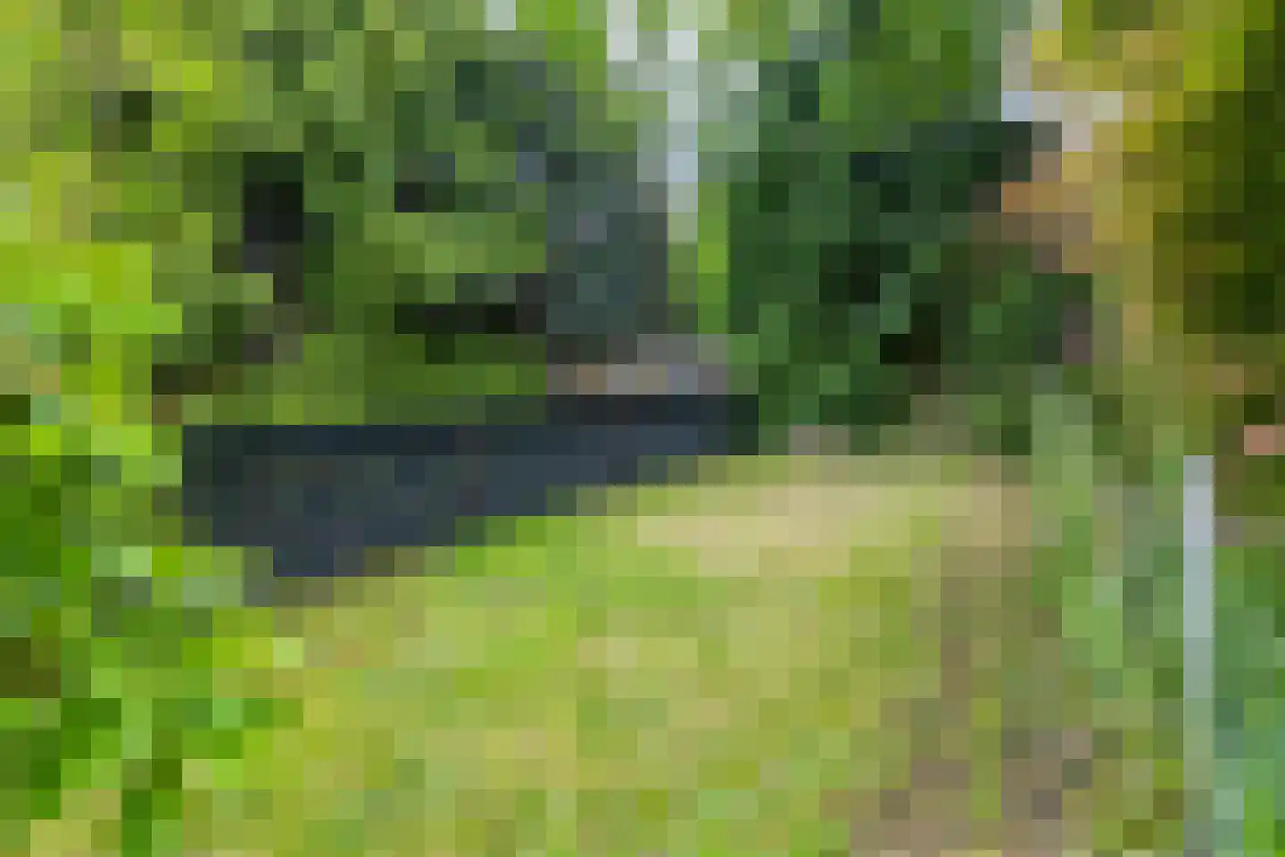 Stampstraat 57 Simpelveld thumbnail 32