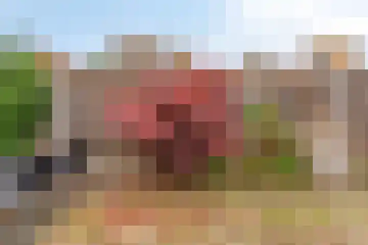Stamroospad 16 Almere thumbnail 32