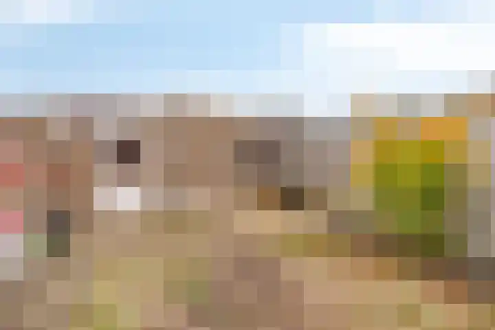 Stamroospad 16 Almere thumbnail 33
