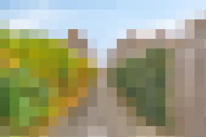 Stamroospad 16 Almere thumbnail 34