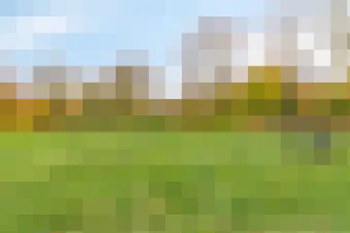 Stamroospad 16 Almere thumbnail 35