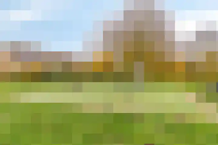 Stamroospad 16 Almere thumbnail 36
