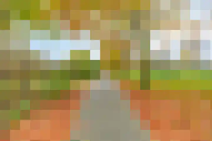 Stamroospad 16 Almere thumbnail 37