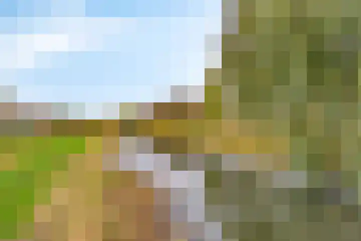 Stamroospad 16 Almere thumbnail 38