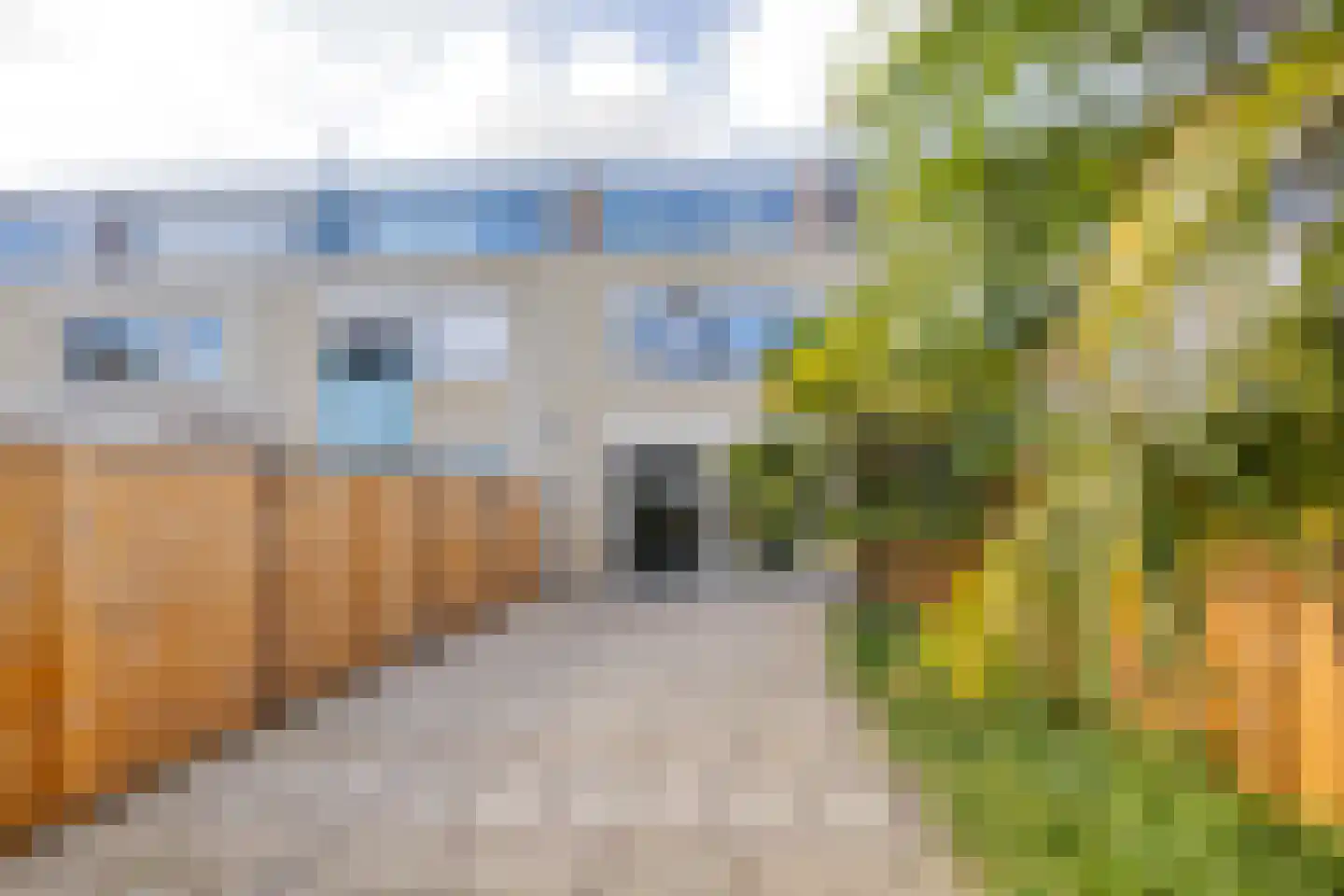 Stan Kentonstraat 9 Leiden thumbnail 34