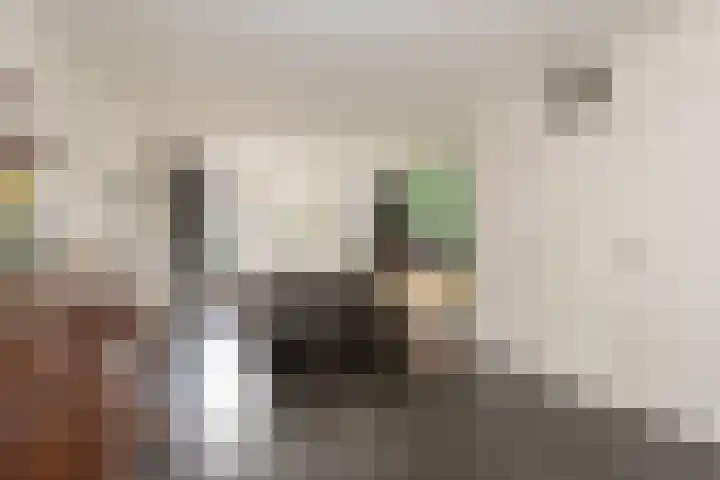 Standaard 13 Hilvarenbeek thumbnail 11