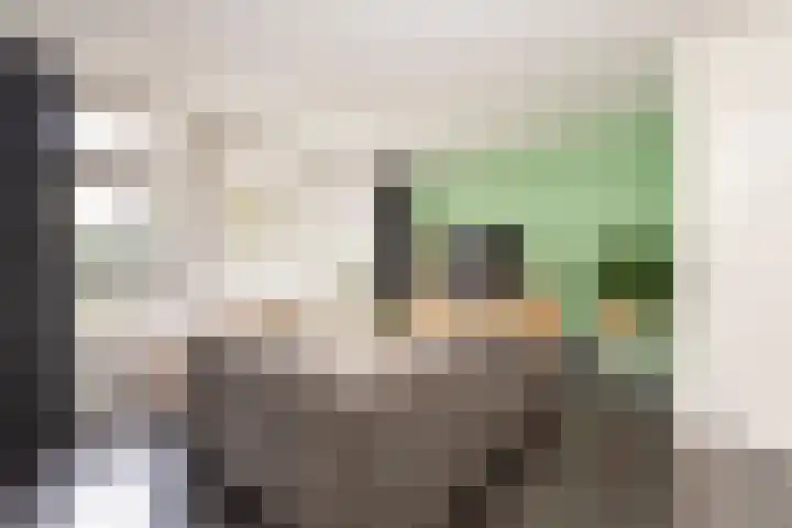 Standaard 13 Hilvarenbeek thumbnail 13