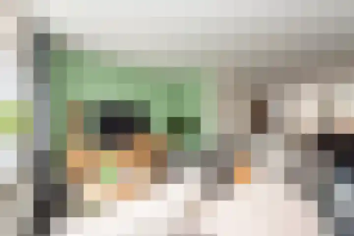 Standaard 13 Hilvarenbeek thumbnail 14