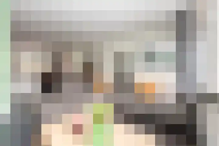 Standaard 13 Hilvarenbeek thumbnail 15