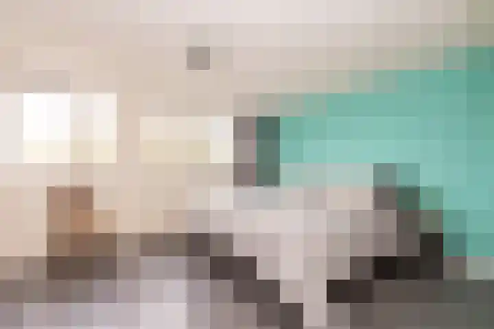 Standaard 13 Hilvarenbeek thumbnail 19