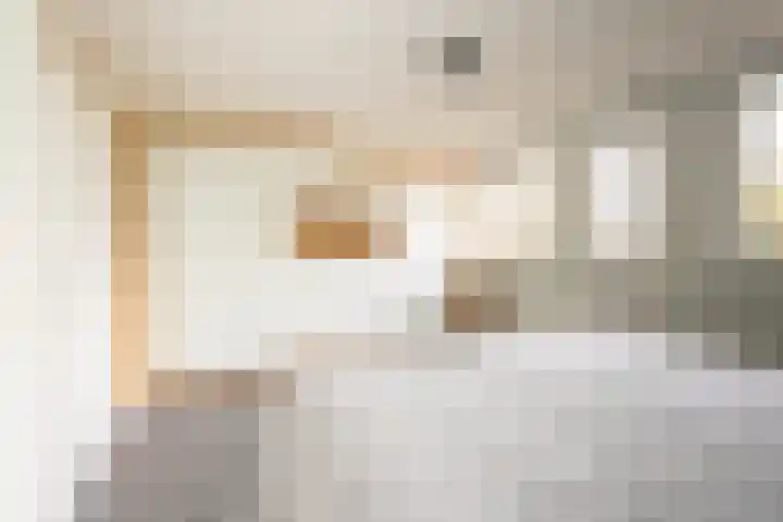Standaard 13 Hilvarenbeek thumbnail 20
