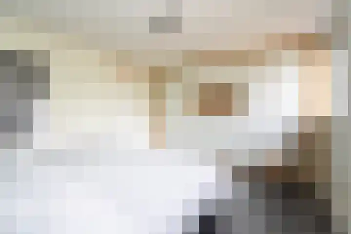Standaard 13 Hilvarenbeek thumbnail 21