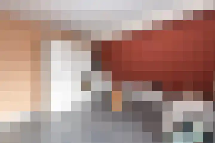 Standaard 13 Hilvarenbeek thumbnail 25