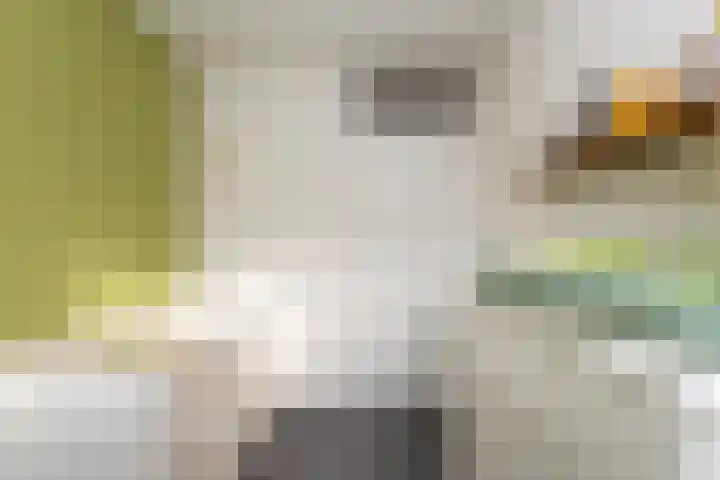 Standaard 13 Hilvarenbeek thumbnail 27