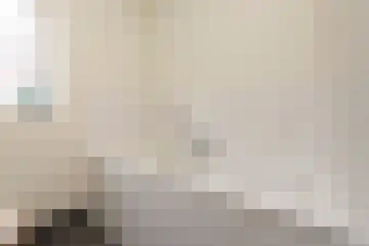 Standaard 13 Hilvarenbeek thumbnail 30