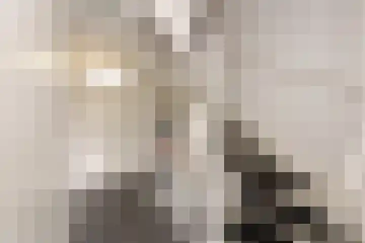 Standaard 13 Hilvarenbeek thumbnail 33