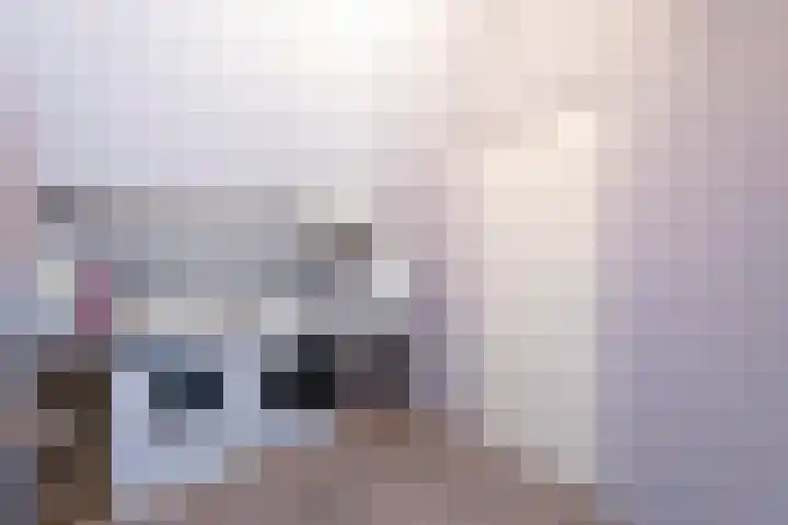 Standaard 13 Hilvarenbeek thumbnail 34