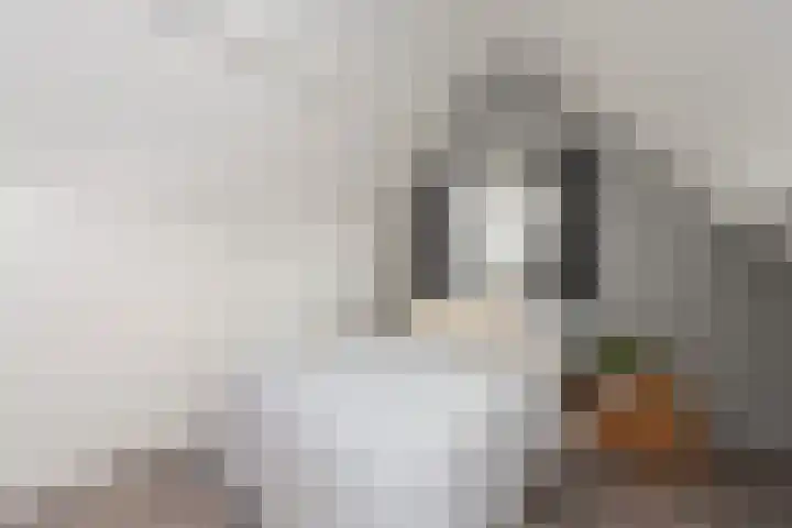 Standaard 13 Hilvarenbeek thumbnail 38