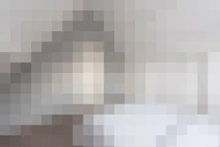 Standaard 13 Hilvarenbeek thumbnail 39