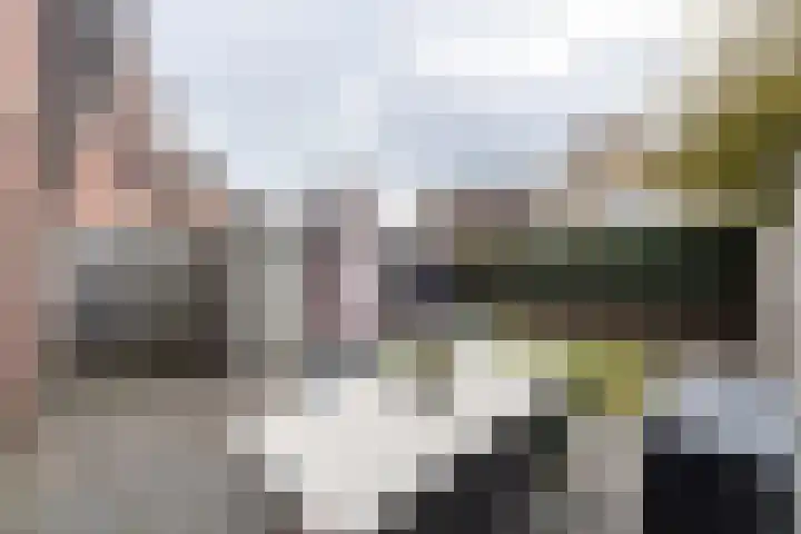Standaard 13 Hilvarenbeek thumbnail 40