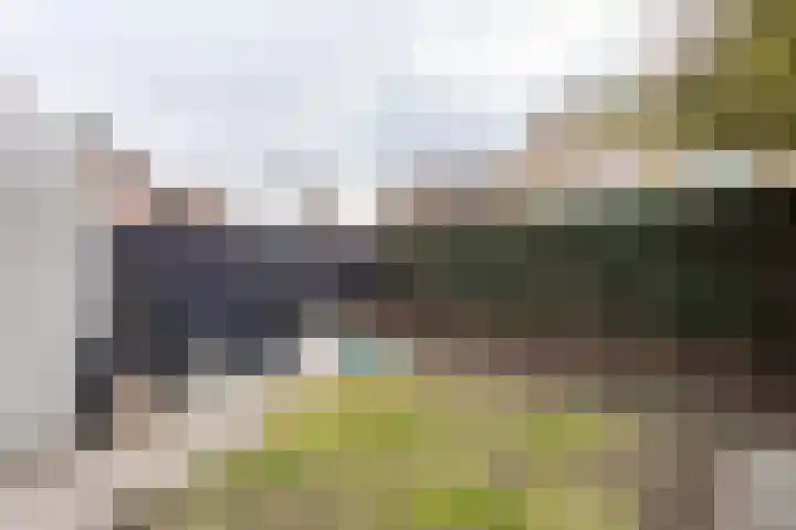 Standaard 13 Hilvarenbeek thumbnail 41