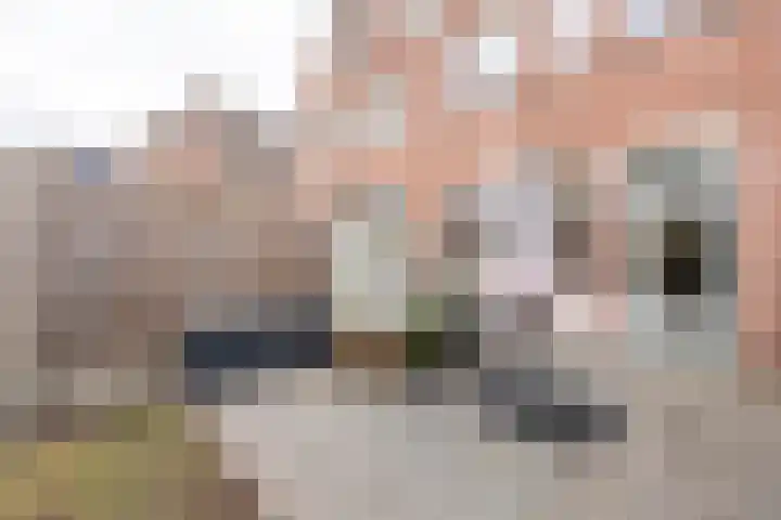 Standaard 13 Hilvarenbeek thumbnail 42
