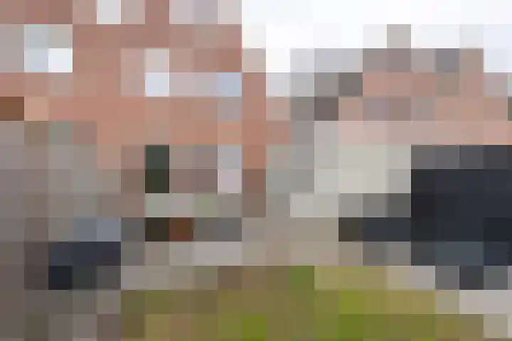 Standaard 13 Hilvarenbeek thumbnail 43