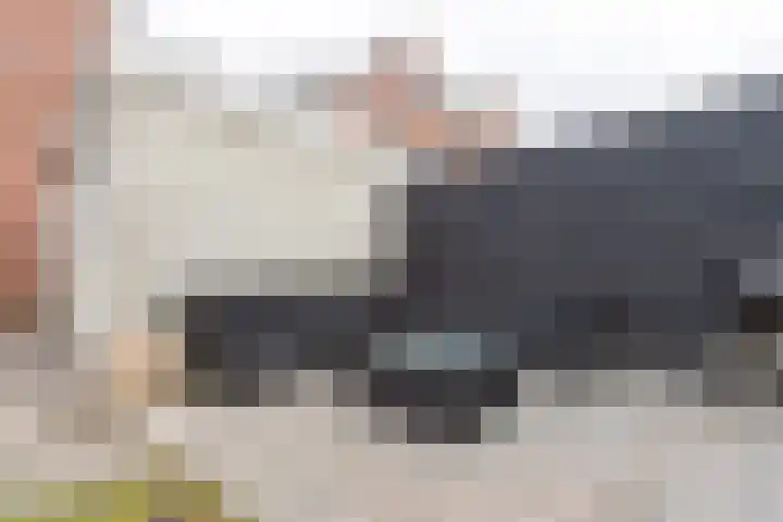 Standaard 13 Hilvarenbeek thumbnail 45
