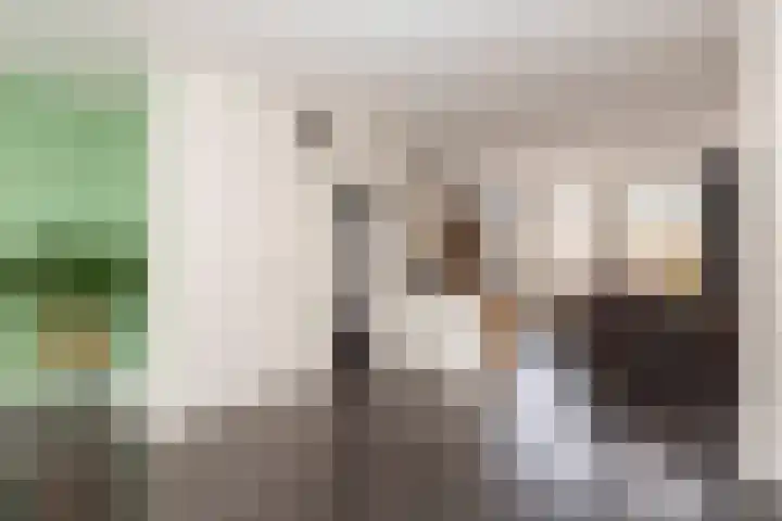 Standaard 13 Hilvarenbeek thumbnail 5