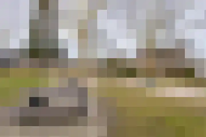 Standaard 13 Hilvarenbeek thumbnail 50