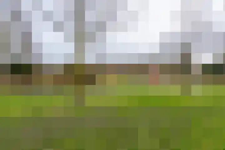 Standaard 13 Hilvarenbeek thumbnail 51