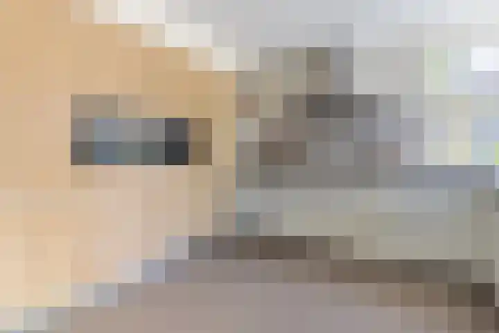 Standaardmolen 1 Alphen aan den Rijn thumbnail 10