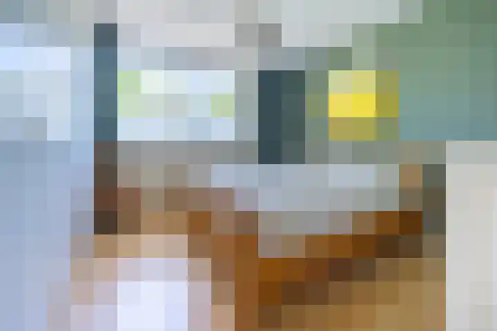 Standaardmolen 1 Alphen aan den Rijn thumbnail 17