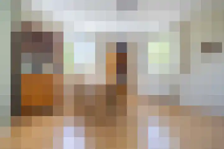 Standaardmolen 1 Alphen aan den Rijn thumbnail 20