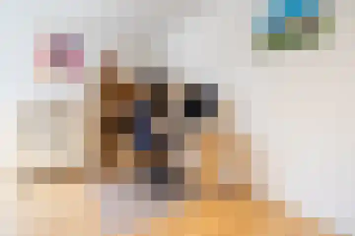 Standaardmolen 1 Alphen aan den Rijn thumbnail 22